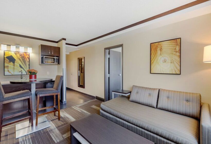 בית מלון כפרי Best Western Plus Edmonton Airport