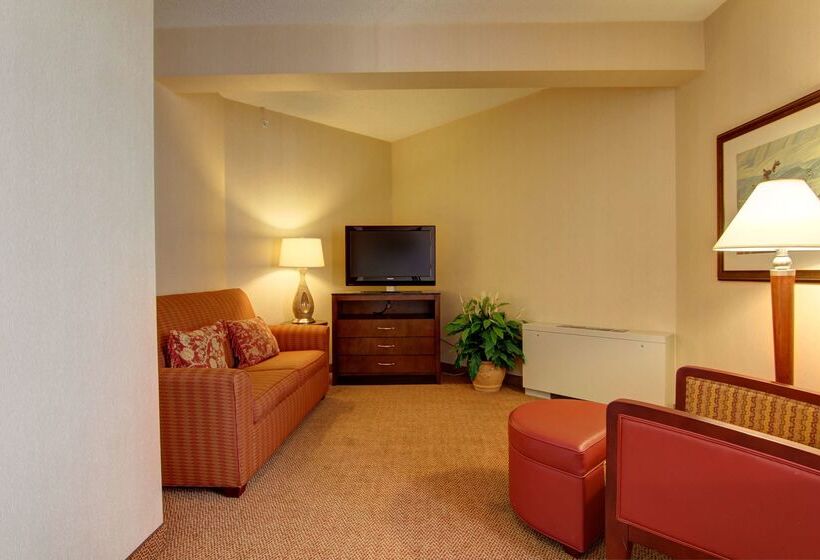 בית מלון כפרי Hilton Garden Inn Calgary Airport