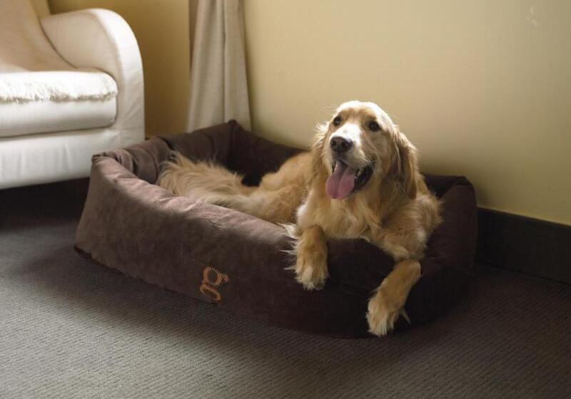 Hotel Hôtel Le Germain Québec