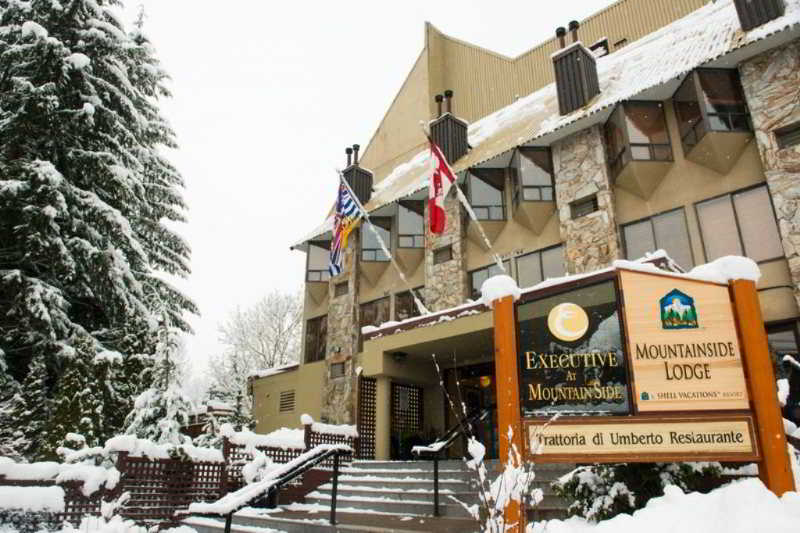 هتل Mountainside Lodge