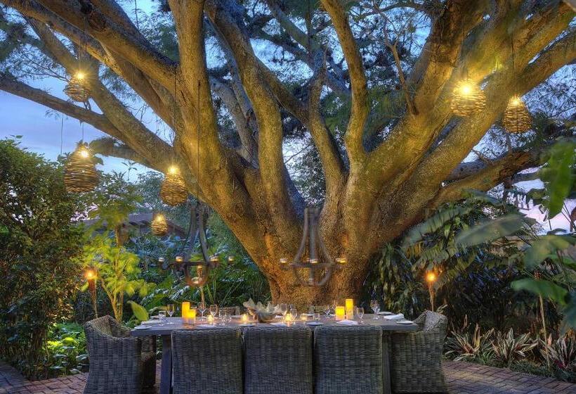 فندق Alta Las Palomas