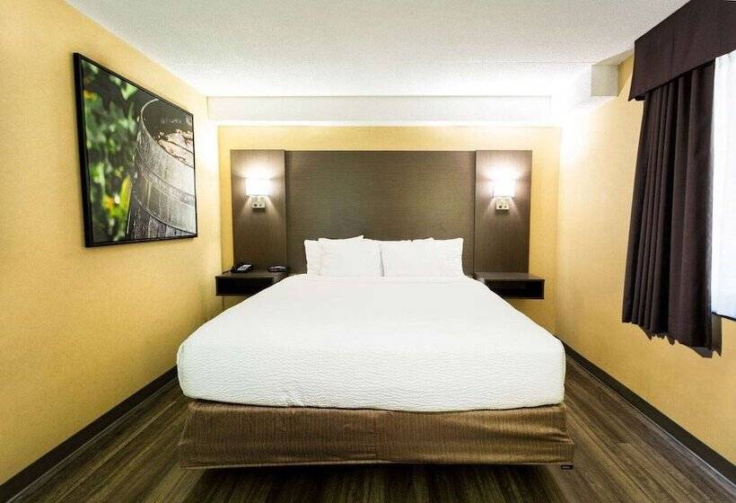 هتل Days Inn By Wyndham Fallsview