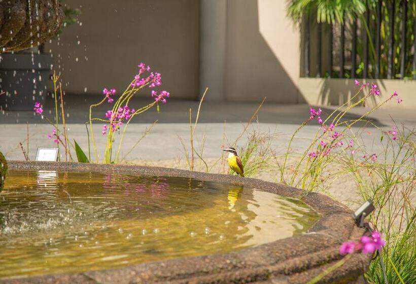 هتل Poblado Plaza