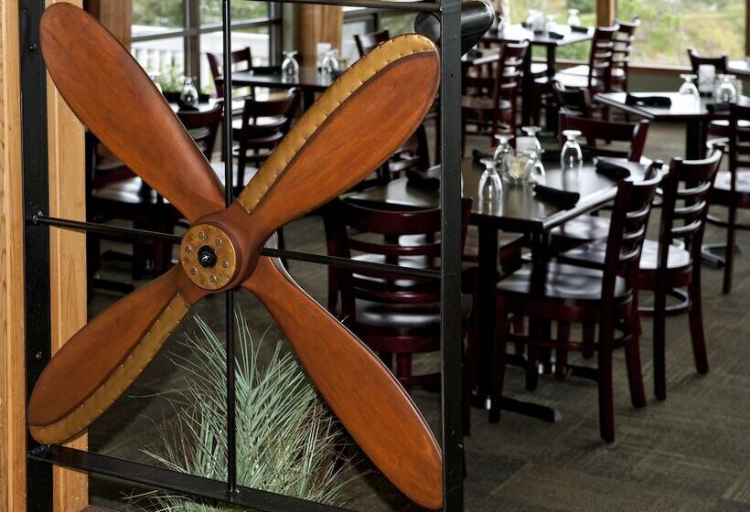 هتل Silver Dart Lodge