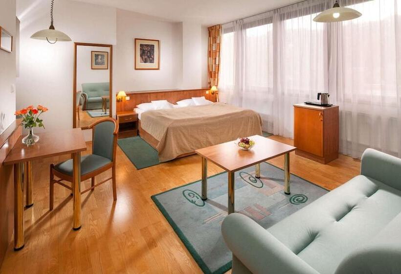 酒店 Vladimir ústí Nad Labem