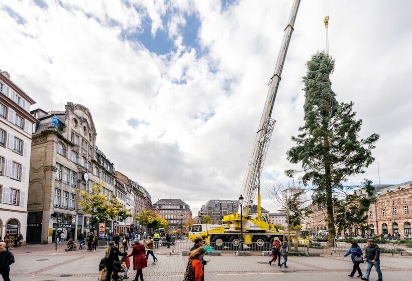 Best Western Plus Hotel Villa D Est