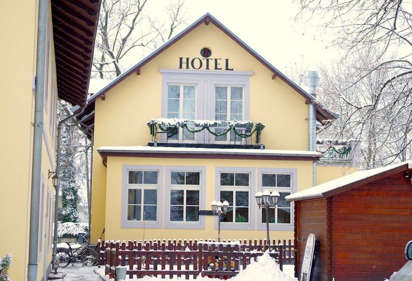 هتل Alttolkewitzer Hof