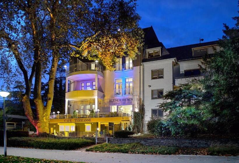هتل Kleiner Riesen