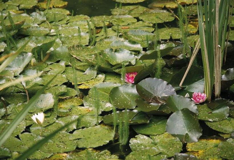Romantik Hotel Jagdhaus Waldidyll