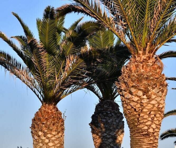 هتل Astir Of Paros