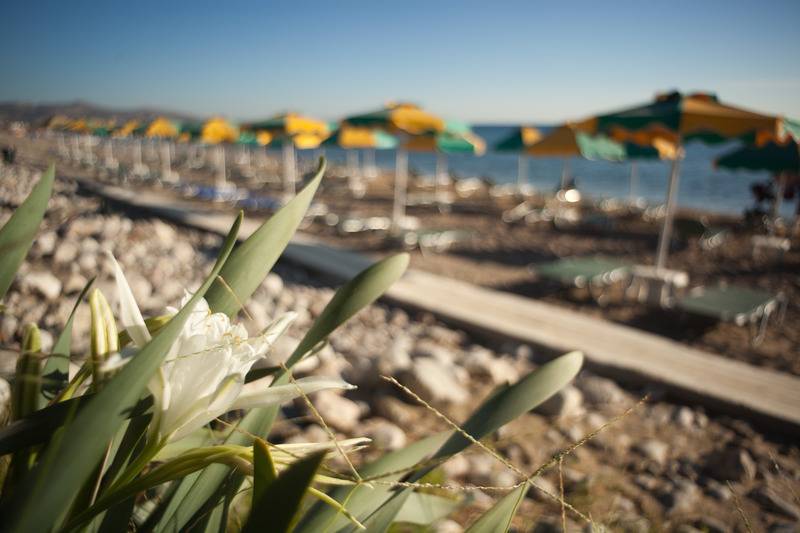 هتل Irene Palace Beach Resort