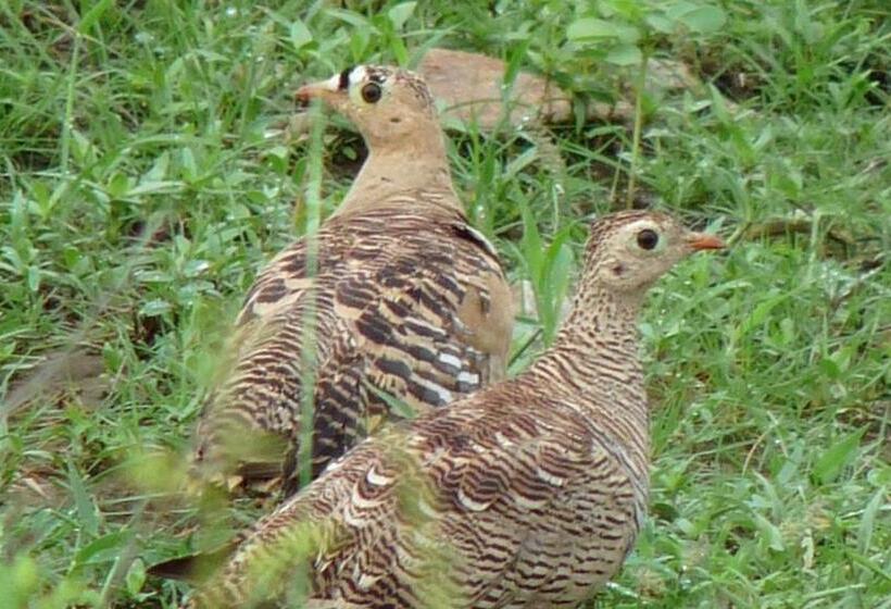 בית מלון כפרי Ramgarh Lodge, Jaipur – Ihcl Seleqtions