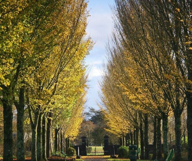 酒店 The Dunraven, Adare