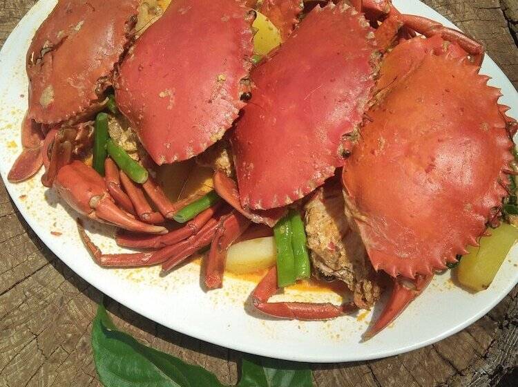 בית מלון כפרי Grand Elty Krakatoa