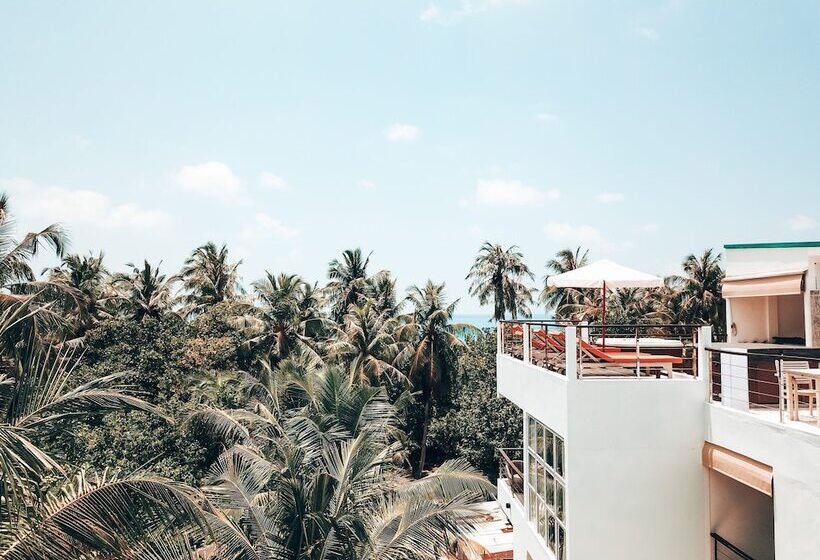 بنسيون Bliss Dhigurah