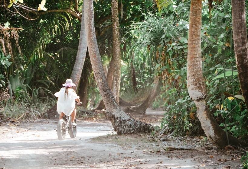 بنسيون Bliss Dhigurah