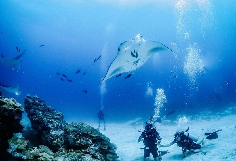 بنسيون Bliss Dhigurah