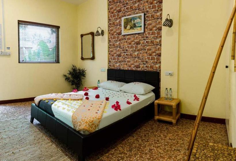 Pensió Dive Villa Thoddoo