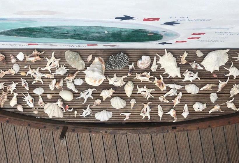 Pensió Dive Villa Thoddoo