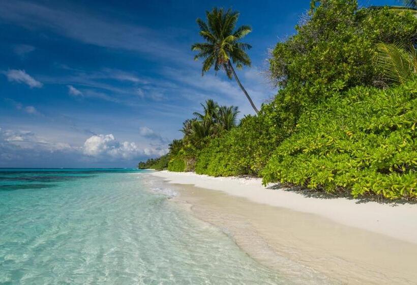 بنسيون White Sand Dhigurah