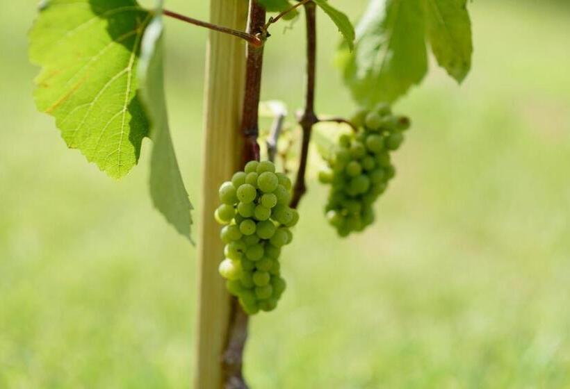Отель Leone De Castris Wine