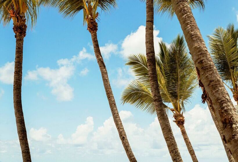 酒店 One&only Le Saint Géran, Mauritius