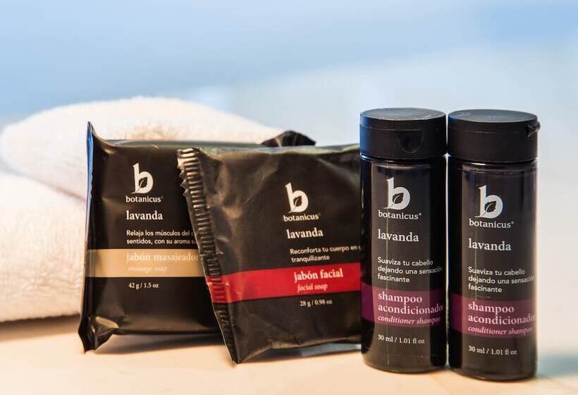 酒店 Fiesta Inn Xalapa