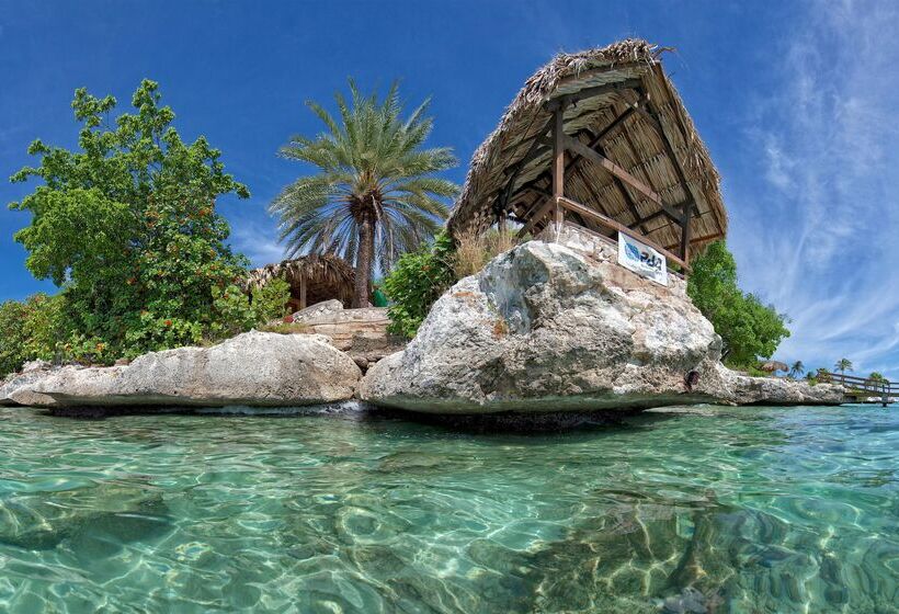 Dreams Curacao Resort, Spa & Casino   All Inclusive