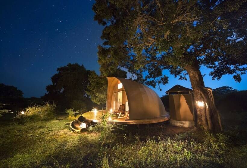 ホテル Leopard Nest   Glamping In Yala