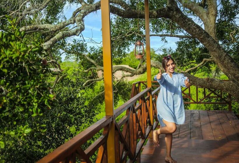 ホテル Leopard Nest   Glamping In Yala