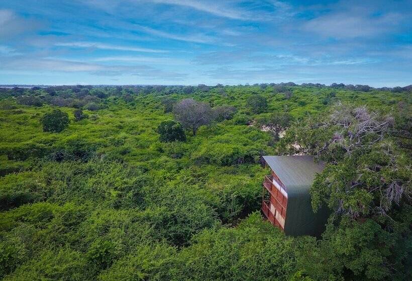 ホテル Leopard Nest   Glamping In Yala