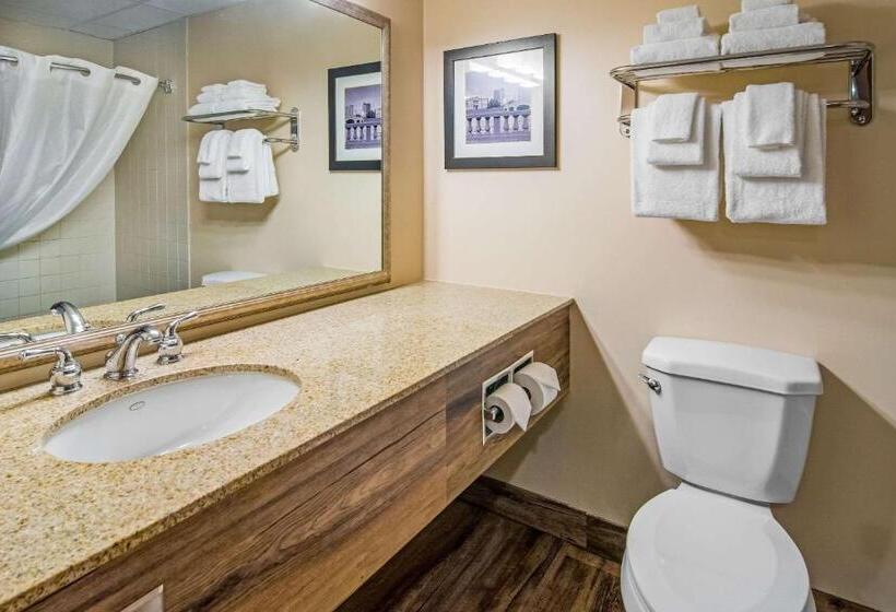 호텔 Quality Inn & Suites