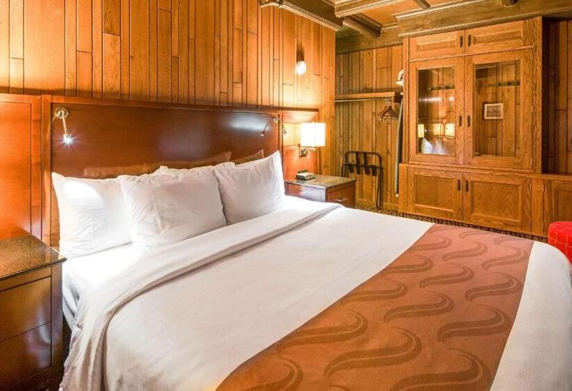 호텔 Quality Inn & Suites