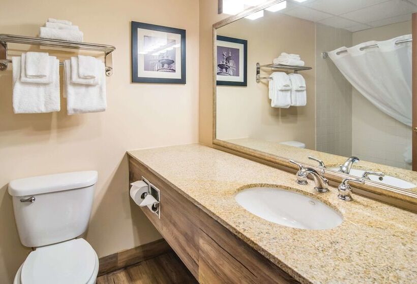 호텔 Quality Inn & Suites