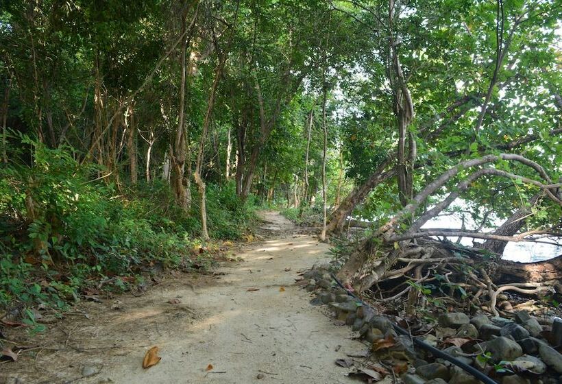 هتل The Jemuruk Island Resort