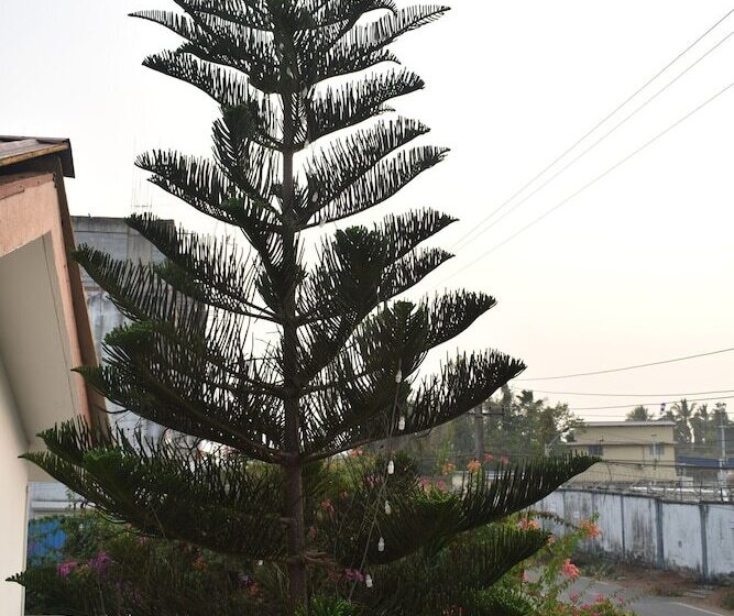 پانسیون Athi Resorts