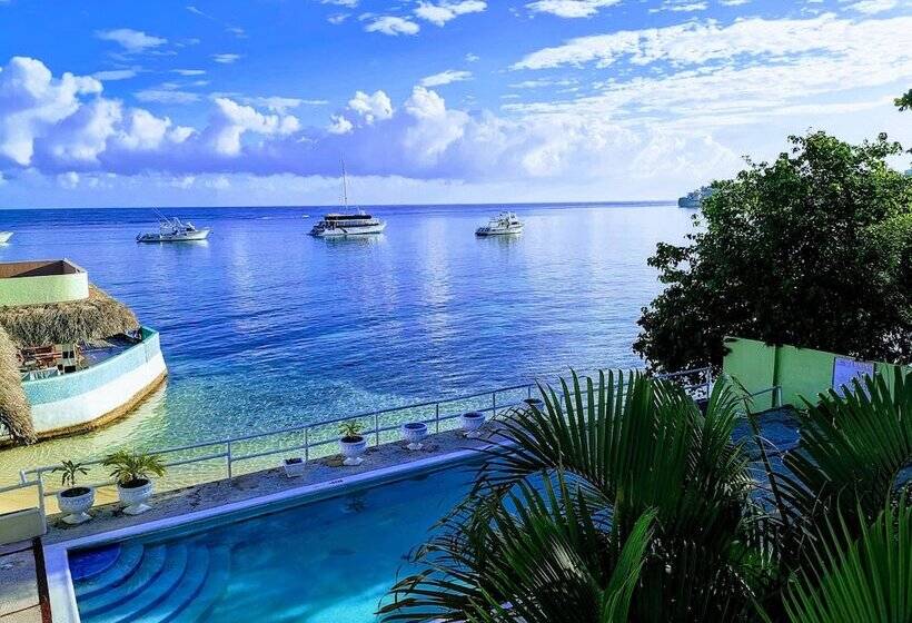 هتل Ocean Palms