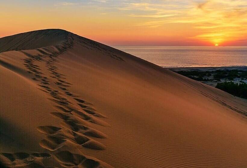 Отель Patara Ince