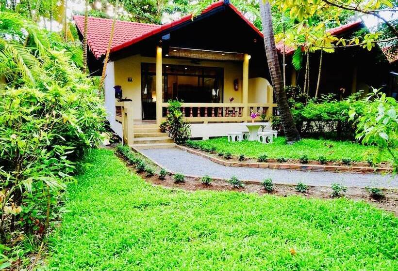 استراحتگاه Starbay Samui