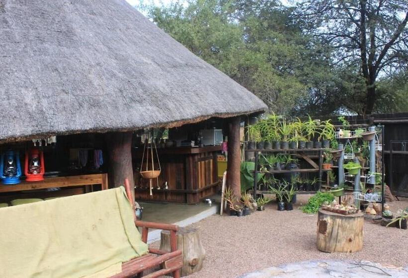 酒店 Grootgeluk Bush Camp