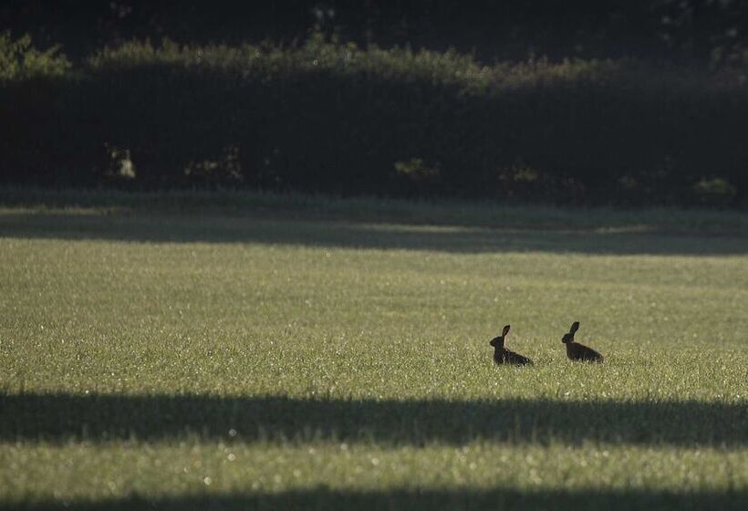 펜션 Carrick's At Castle Farm