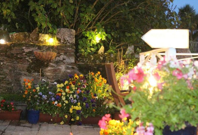 بنسيون Silver Birch Guest House