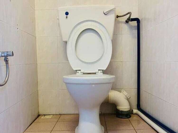 Cookoobird Home Hostel