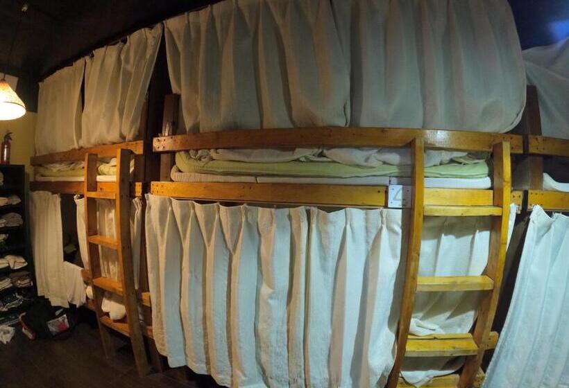 ユースホステル Zamamia International Guesthouse