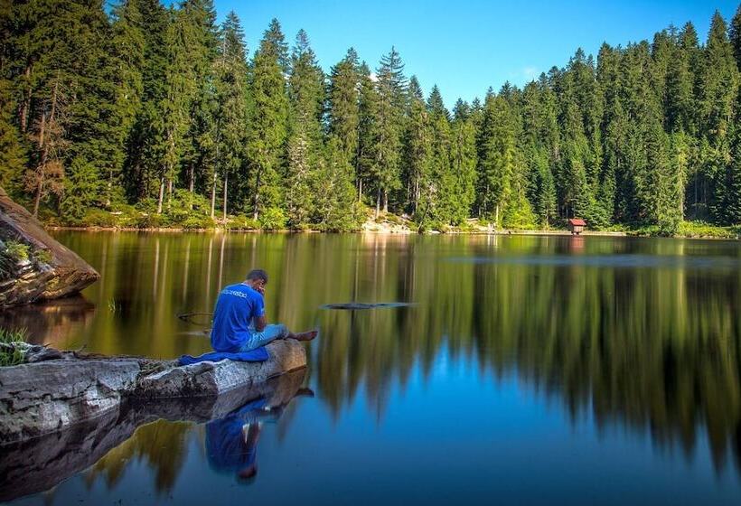 Schwarzwald Apartments Im Haus Tanneck   Feldberg   Titisee