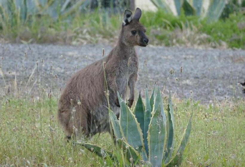 Emu Bay Holiday Homes