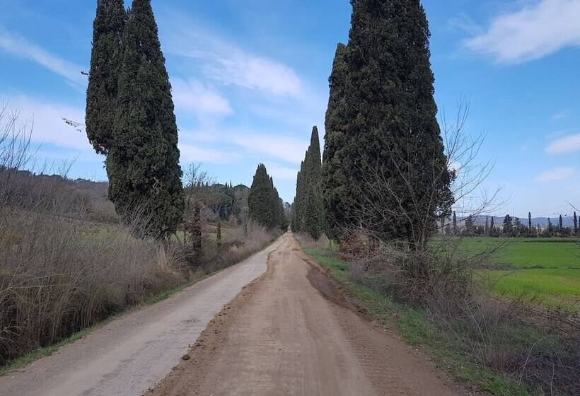 교외 호텔 Agriturismo Bio Fattoria Di Pietra