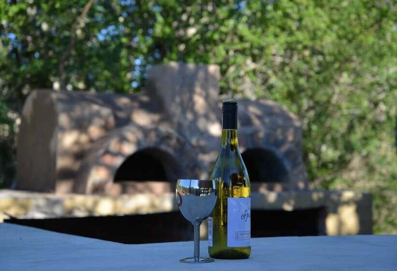 هتل Wild Olive Tree Camp