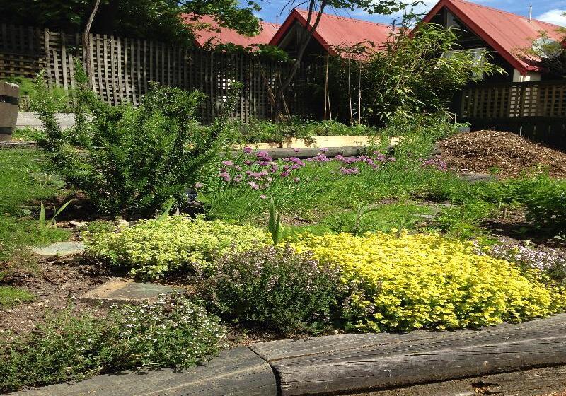 호텔 Blue Peaks Lodge