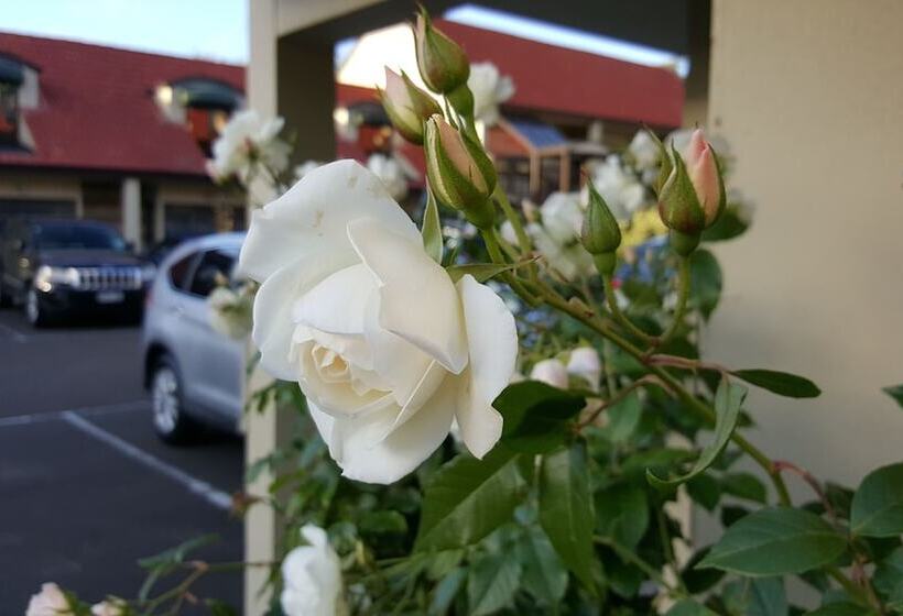 Rose City Motel